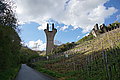 DSC09389 - Bernhard Saalfeld