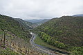 DSC09410 - Bernhard Saalfeld