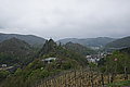 DSC09411 - Bernhard Saalfeld