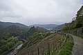 DSC09416 - Bernhard Saalfeld