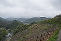 DSC09417 - Bernhard Saalfeld