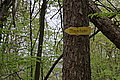 DSC09420 - Bernhard Saalfeld