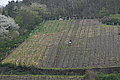 DSC09433 - Bernhard Saalfeld
