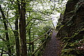 DSC09451 - Bernhard Saalfeld