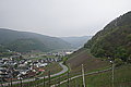 DSC09455 - Bernhard Saalfeld