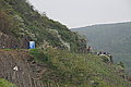 DSC09463 - Bernhard Saalfeld