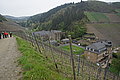 DSC09471 - Bernhard Saalfeld