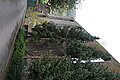 DSC09475 - Bernhard Saalfeld