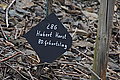 DSC09476 - Bernhard Saalfeld