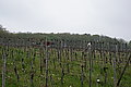 DSC09486 - Bernhard Saalfeld