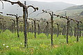 DSC09489 - Bernhard Saalfeld