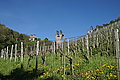 DSC09530 - Bernhard Saalfeld