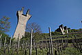 DSC09531 - Bernhard Saalfeld