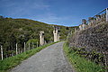 DSC09532 - Bernhard Saalfeld