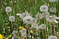 DSC09533 - Bernhard Saalfeld