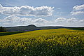 DSC09539 - Bernhard Saalfeld