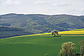 DSC09540 - Bernhard Saalfeld