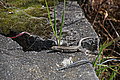 DSC09541 - Bernhard Saalfeld