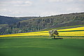 DSC09546 - Bernhard Saalfeld