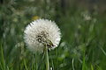 DSC09547 - Bernhard Saalfeld