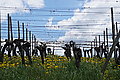 DSC09553 - Bernhard Saalfeld
