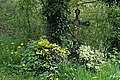 DSC09554 - Bernhard Saalfeld