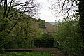 DSC09613 - Bernhard Saalfeld