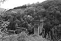 L1001008 - Bernhard Saalfeld
