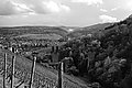 L1001009 - Bernhard Saalfeld