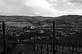 L1001010 - Bernhard Saalfeld
