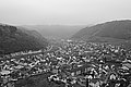 L1001027 - Bernhard Saalfeld