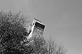 L1001090 - Bernhard Saalfeld