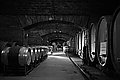 L1001156 - Bernhard Saalfeld