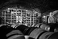 L1001165 - Bernhard Saalfeld