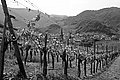 L1001171 - Bernhard Saalfeld