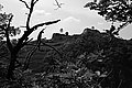 L1001178 - Bernhard Saalfeld