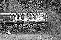 L1001182 - Bernhard Saalfeld