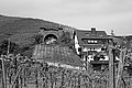 L1001184 - Bernhard Saalfeld