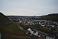 L1000070 - Bernhard Saalfeld