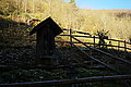 L1000092 - Bernhard Saalfeld