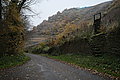 L1000131 - Bernhard Saalfeld