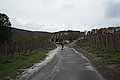 L1000151 - Bernhard Saalfeld