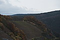 L1000163 - Bernhard Saalfeld