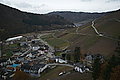 L1000166 - Bernhard Saalfeld