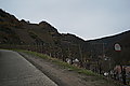 L1000177 - Bernhard Saalfeld