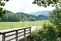 DSC05511 - Bernhard Saalfeld