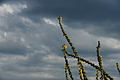 DSC05528 - Bernhard Saalfeld