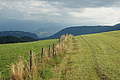DSC05529 - Bernhard Saalfeld
