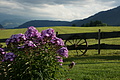DSC05532 - Bernhard Saalfeld