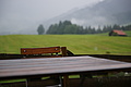 DSC05537 - Bernhard Saalfeld